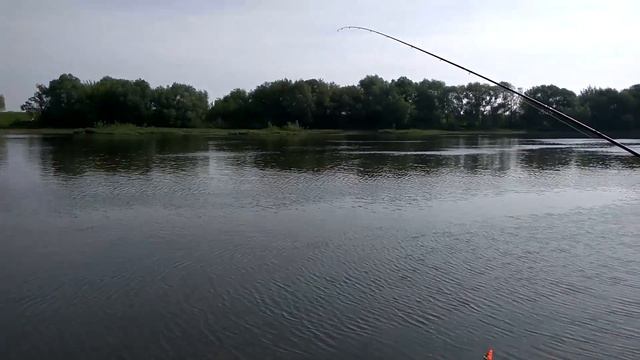 Фидер в мае Москва река Коломна Московская область смотреть онлайн