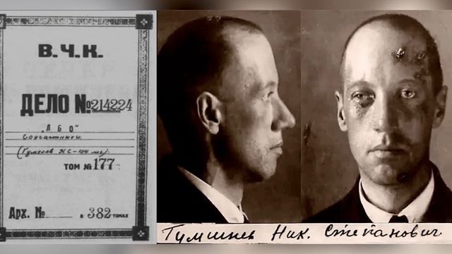 За что «Белого поэта» Гумилёва расстреляли большевики? смотреть онлайн