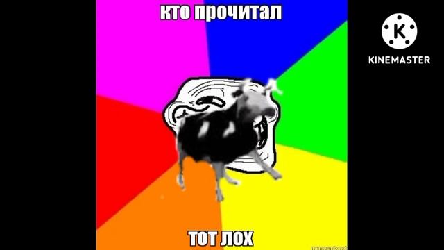 Польская корова флексит в разных местах смотреть онлайн