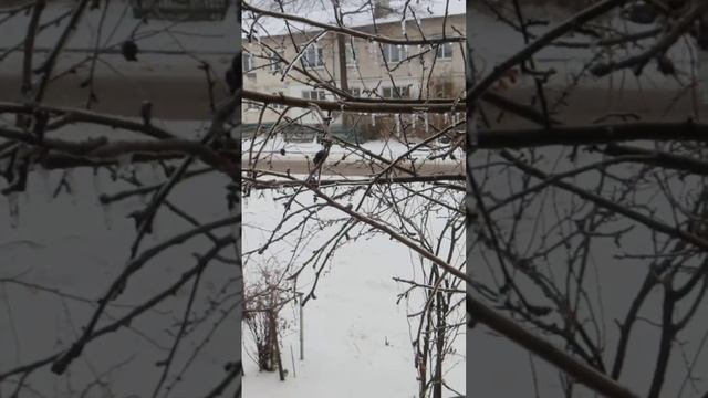 Такая погоды была 23 ноября