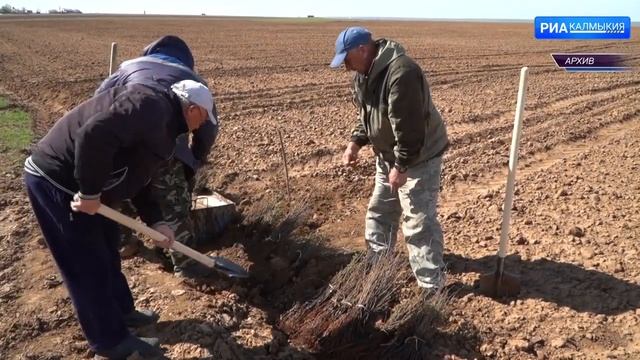 Бюджет регионального управления лесного хозяйства на 2024 год увеличен смотреть онлайн