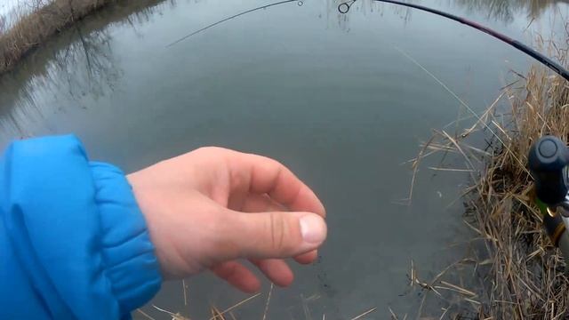 Щука на воблер. Расцветка RedHead ловит.