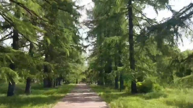 Усадьба Молоствовых смотреть онлайн