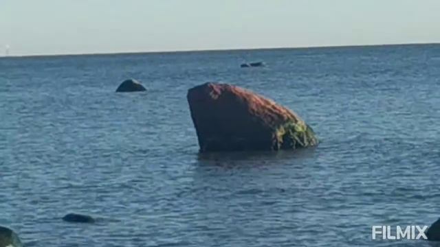 Финский залив! The Gulf of Finland #финскийзалив смотреть онлайн
