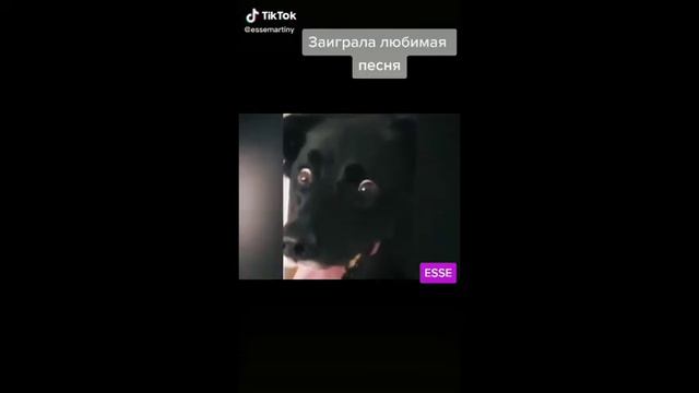 Что такое, этот ваш Тик-Ток? смотреть онлайн