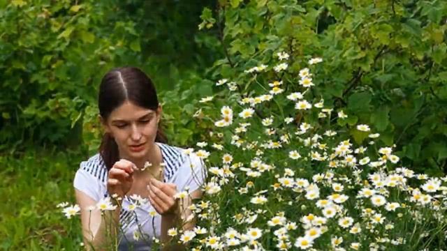 Ах ромашка, ты моя))))) смотреть онлайн