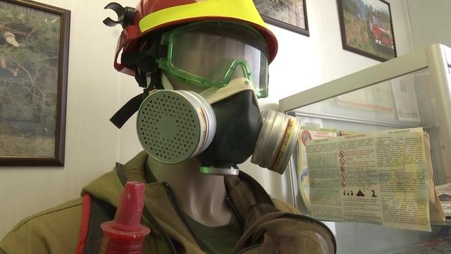 Юные экологи Смоленска отмечают День леса смотреть онлайн