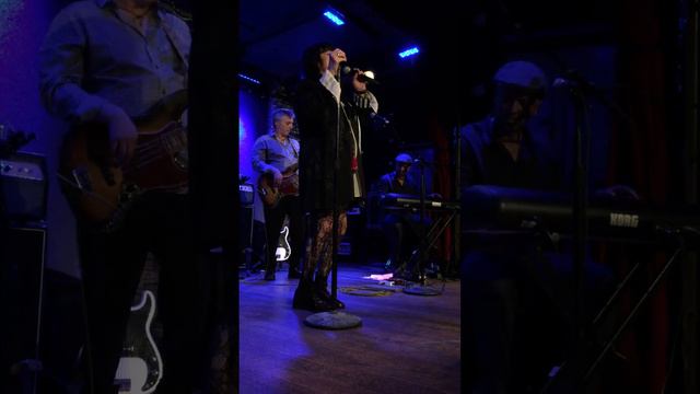 the ann wilson thing! смотреть онлайн