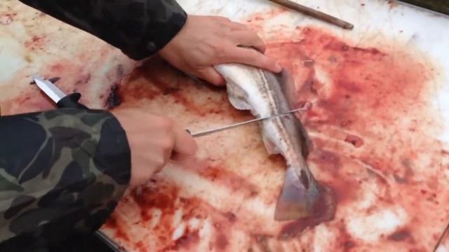 Чистка риби смотреть онлайн