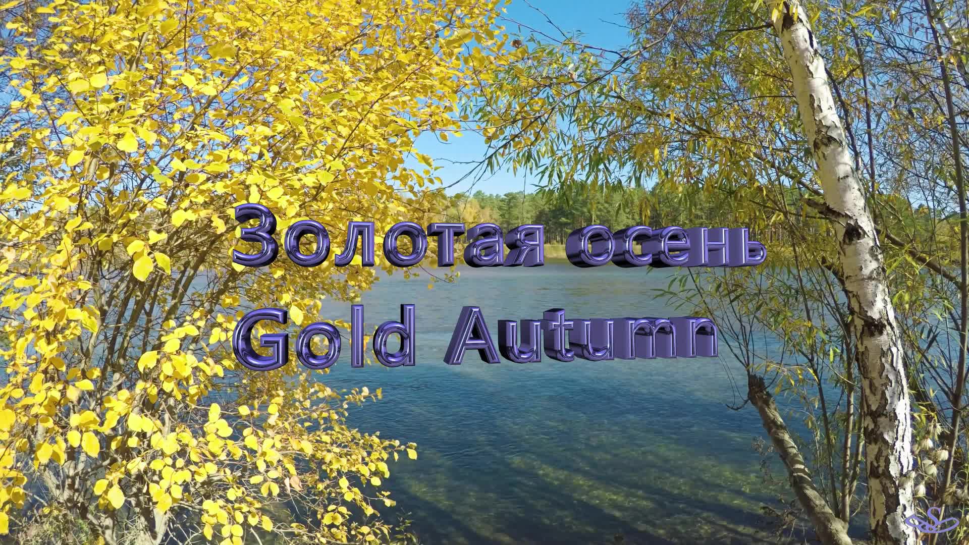Золотая осень. 4К.. смотреть онлайн