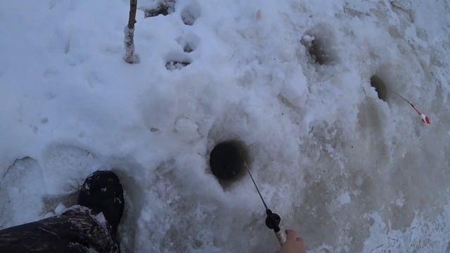 РЫБАЛКА НА ПОПЛАВОК ЗИМОЙ/ЛОВЛЯ НЕ КРУПНОЙ ПЛОТВЫ.... смотреть онлайн