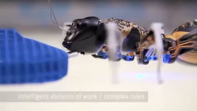 Amazing Robot Animals | COOLEST CARS FOR KIDS | WORLD'S MOST COMFORTABLE TRUCKS | MUST SEE! смотреть онлайн