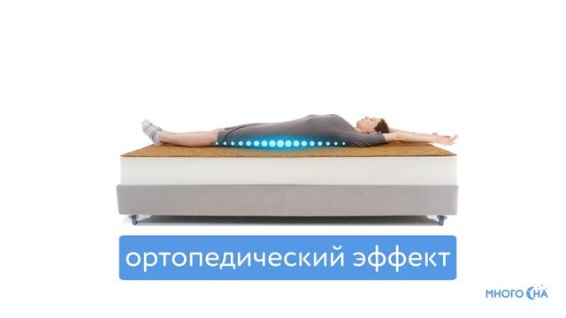 Матрас Dimax Практик Чип Ролл 14 Кокос  Видеообзор от МногоСна