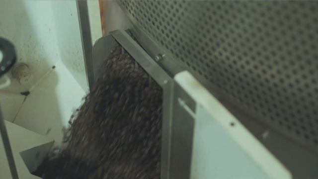 Roastery Tour - Adore Coffee Roasters смотреть онлайн