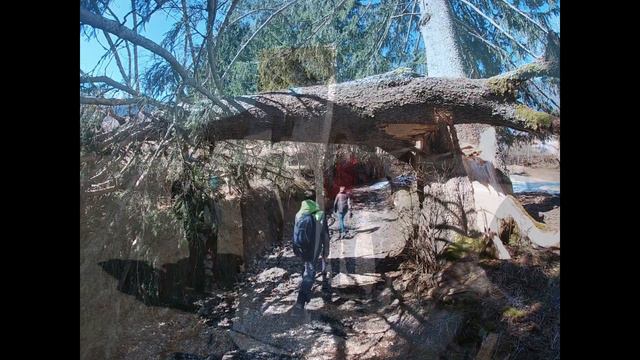 Saint-Hugues-de-Chartreuse : sur les pas d'Arcabas ! смотреть онлайн