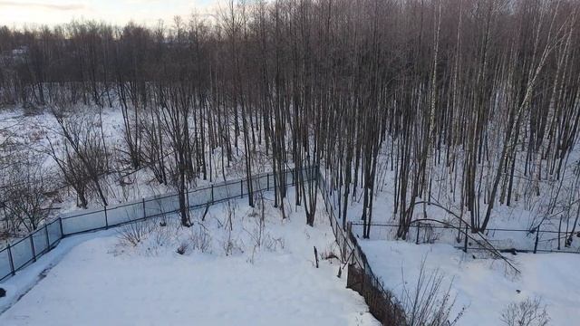 конопатка срубов 25.12.2022 смотреть онлайн