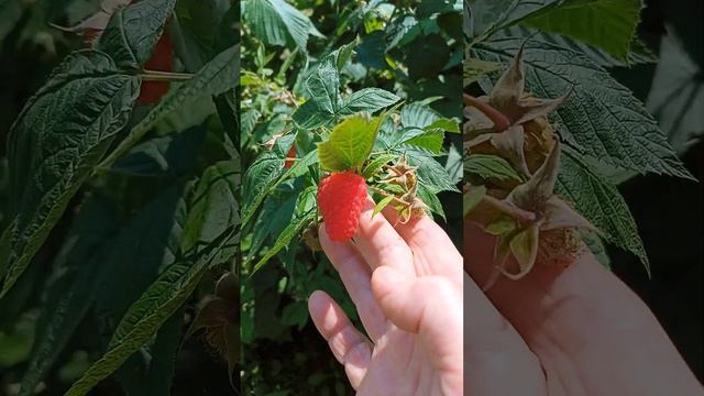 @Татьяна Ляшок (как исправить) смотреть онлайн