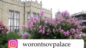 Лагерстрёмия, индийская сирень .