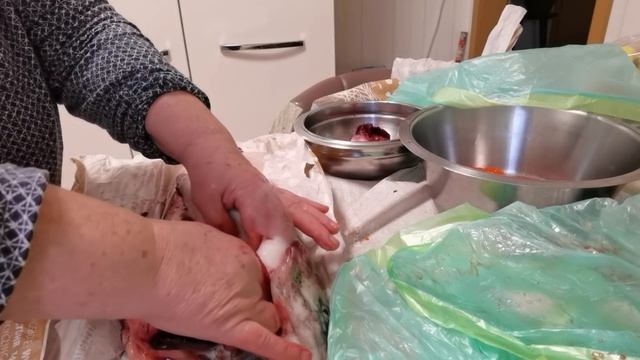 РЫБНЫЙ ДЕНЬ С ПОСОЛОМ ИКРЫ? | #370 смотреть онлайн