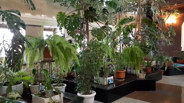 Видеопрогулка по историческому зданию вокзала Новосибирск-Главный смотреть онлайн