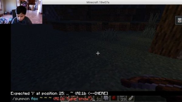 Minecraft Snowy Fox Command