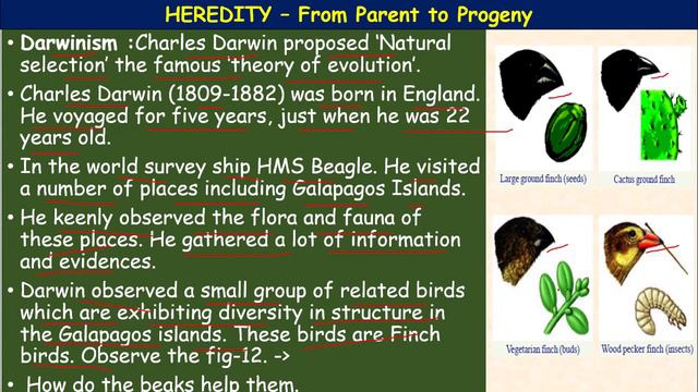 10TH || BIOLOGY || REGULAR || HEREDITY - From Parent to Progeny || PART 07 смотреть онлайн