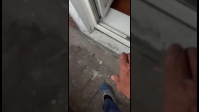 Компания Пенсионер 21 века, Кемеровская область, г. Новокузнецк, ул. Ушинского 8, т. 8(3843)56-18-3