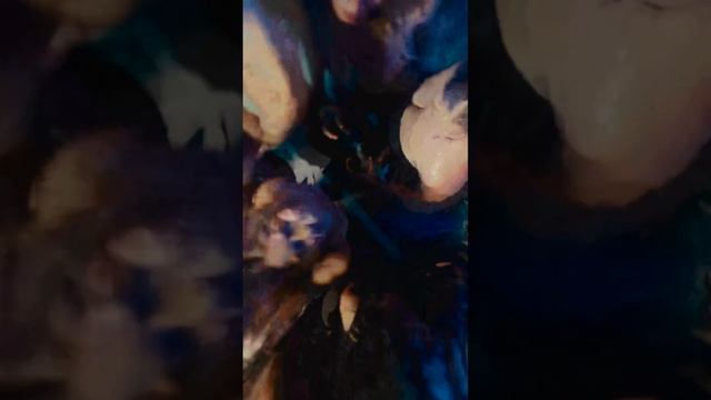 Ana Nieto - EL EFECTO