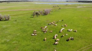 Клип ыһыах (Вилюйский улус с. Сыдыбыл.)