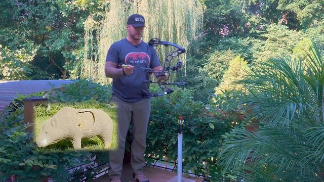 Backyard Bows APA Black Mamba 31 Review смотреть онлайн