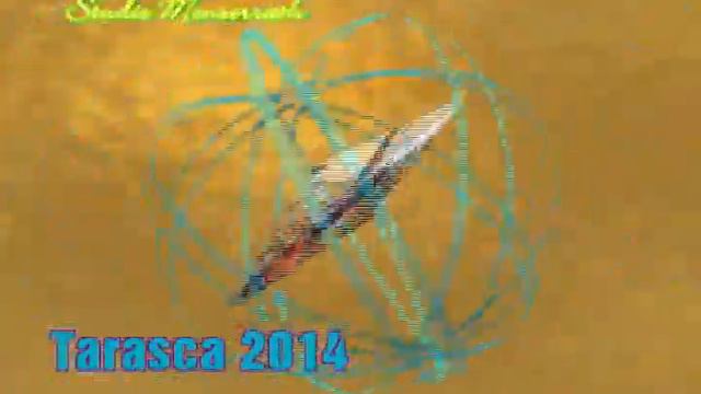Tarasca 2014