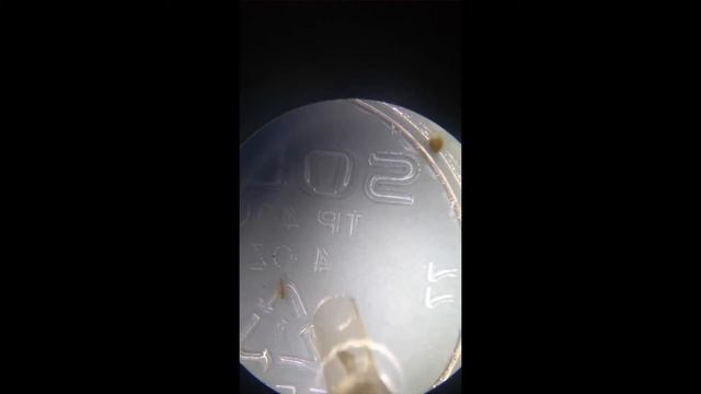 Toxicology: LC50 Daphnia in Ammonium Sulfate смотреть онлайн