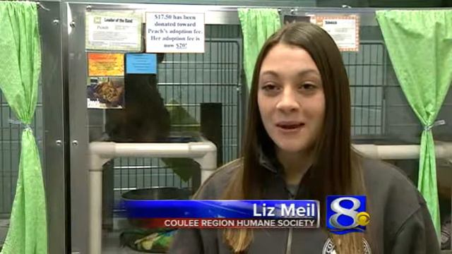 930 animals find a home in 2013 смотреть онлайн
