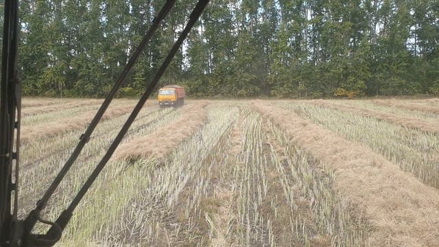 Финал.Еще одна культура побеждена!!! смотреть онлайн