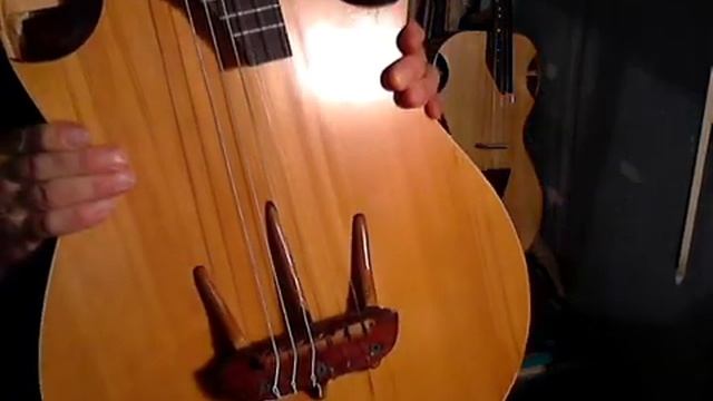 Шестиструнка, акация смотреть онлайн