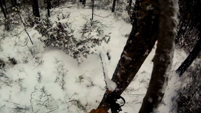 Регион 88 | Пушной промысел. Охота на соболя - 6 часть. | Сезон 2020 |