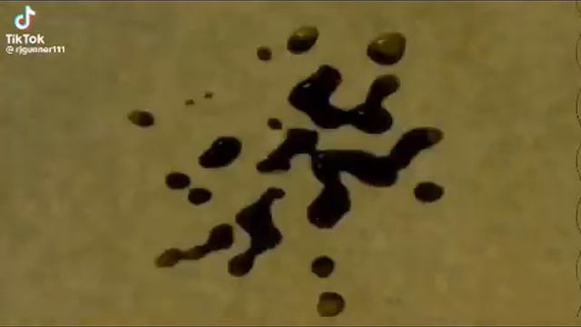 Klasky csupo Round 1 смотреть онлайн