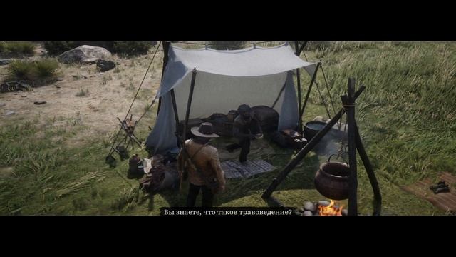 В поисках дикого Мустанга l Red Dead Redemption 2 l Часть #5 смотреть онлайн