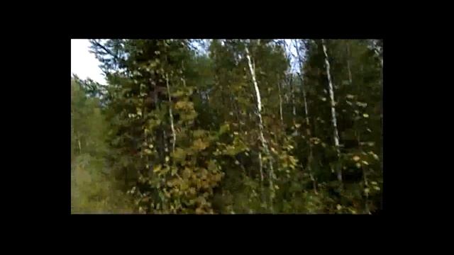 Поездка на рыбалку. "Няр". река "Косьва". Пермский край. Осень, 2018г. #8 смотреть онлайн