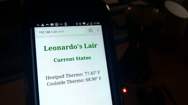 Gecko Habitat Monitor/Thermostat w/ESP8266 & Arduino & DS18B20 смотреть онлайн