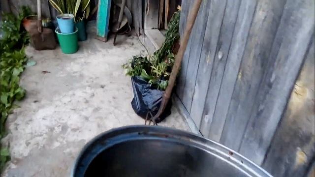 МОЙ ДЕНЬ ИЗ ВЫХОДНЫХ!!!! ШОК УКУСИЛА СОБАКА!!! СМОТРЕТЬ ВСЕМ!!! смотреть онлайн