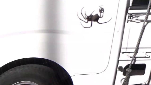 目黒清掃工場 緩衝緑地とその付近caution spider image смотреть онлайн