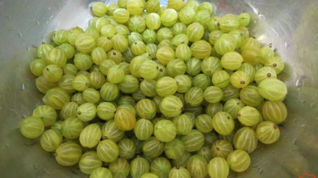 1000 и 1 рецепт