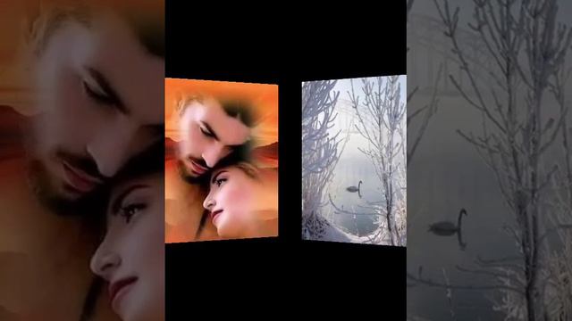 Хәерле кич дусларым, якыннарым 🤍🎼🤍🎼 Ильфат Миннегалиев - Ак чәчәкләр кебек кар ява 🤍 смотреть онлайн