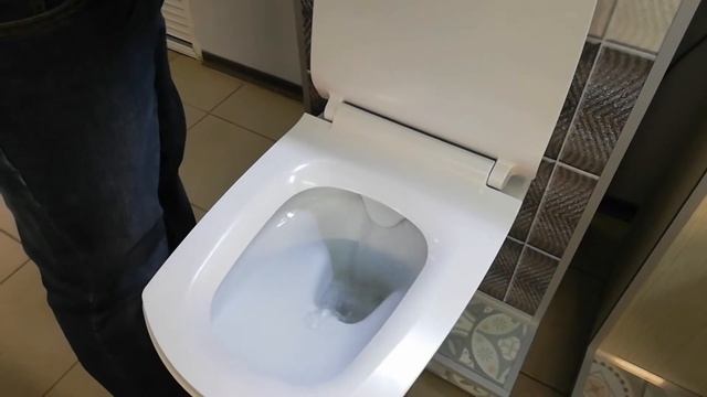 СМЫВАТЕЛЬ CRSKiT для инсталляций CERSANIT смотреть онлайн
