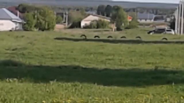 Наша дача и деревня смотреть онлайн