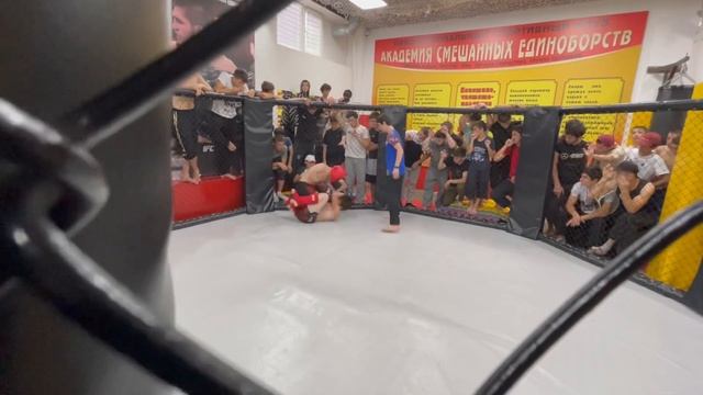 ? Гаджиев Давуд Vs ? Раджаб