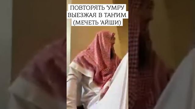 Повторять 'умру выезжая в Тан'им (мечеть 'Айши) | Сирадж Абу Тальха смотреть онлайн