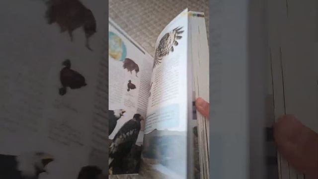 Обозр . Издательство: Эксмодетство . Или Эксмо. Энциклопедия полная . География России. смотреть онлайн