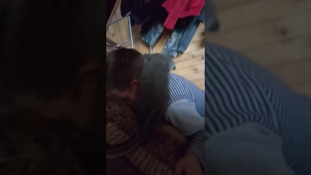 Очень добрый котик! ? смотреть онлайн
